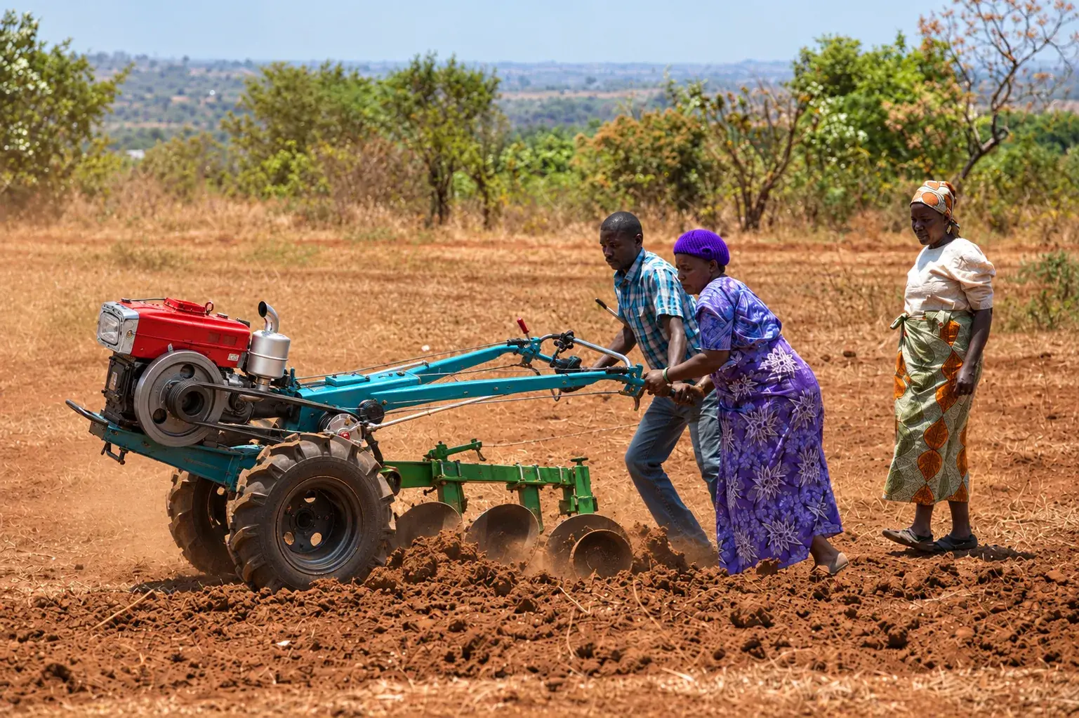Walking tractor with disc plough working a field